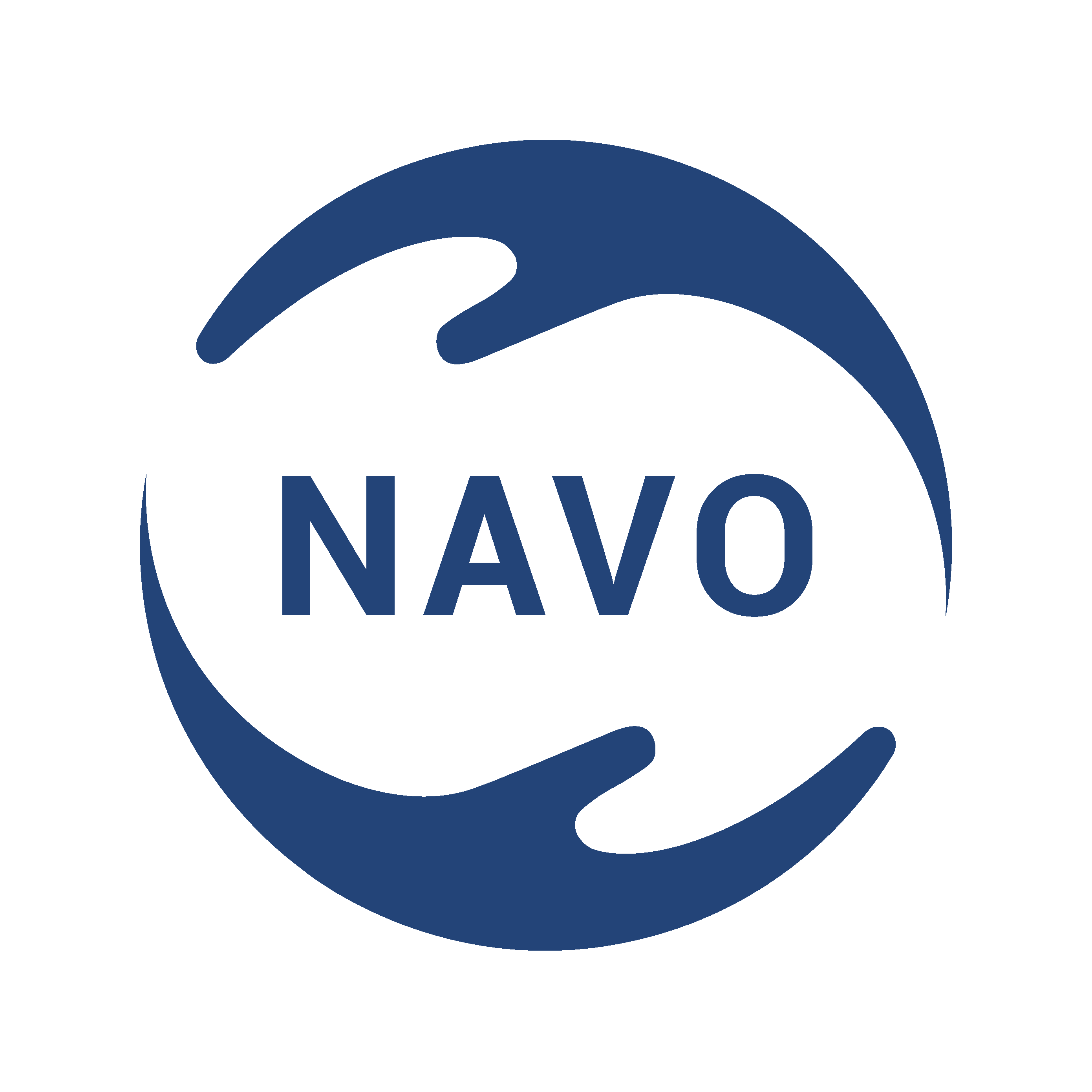 200331_Logo_NAVO_ohne claim_rgb_#tranparent_RZ